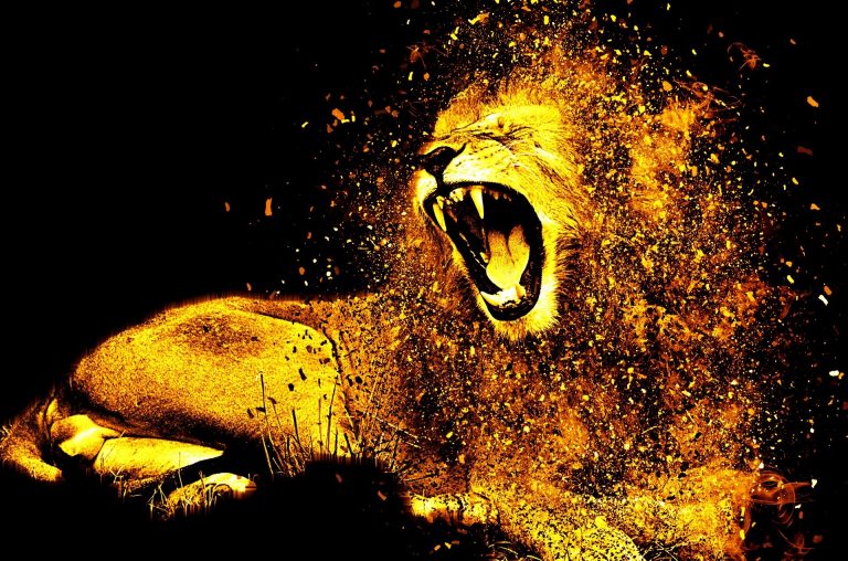 FACE OF A LION